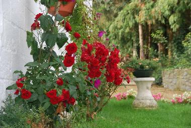 Ferienhaus in Falisolle (Wallonien) oder Ferienwohnung oder Ferienhaus