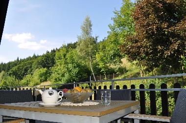 Ferienwohnung in Svoboda nad Upou (Kralovehradecky Kraj) oder Ferienwohnung oder Ferienhaus