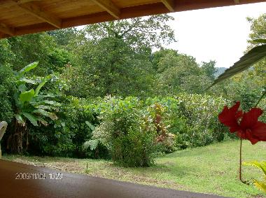 Ferienhaus in Estrada/PreCarrillo (Guanacaste) oder Ferienwohnung oder Ferienhaus