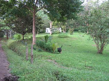Ferienhaus in Estrada/PreCarrillo (Guanacaste) oder Ferienwohnung oder Ferienhaus
