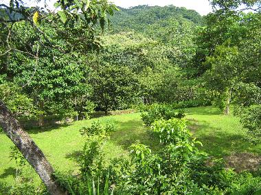 Ferienhaus in Estrada/PreCarrillo (Guanacaste) oder Ferienwohnung oder Ferienhaus