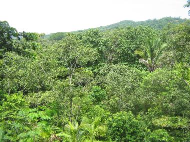 Ferienhaus in Estrada/PreCarrillo (Guanacaste) oder Ferienwohnung oder Ferienhaus