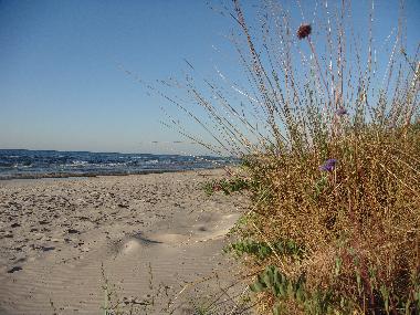 Ferienhaus in Simrishamn (Sk�ne) oder Ferienwohnung oder Ferienhaus