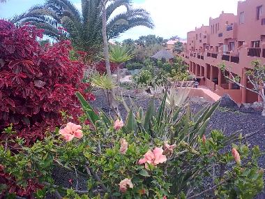 Ferienwohnung in Corralejo (Fuerteventura) oder Ferienwohnung oder Ferienhaus