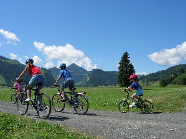 Ferienwohnung in Oberiberg (Hoch-Ybrig) oder Ferienwohnung oder Ferienhaus