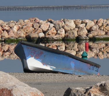 Ferienhaus in Marseillan (H�rault) oder Ferienwohnung oder Ferienhaus