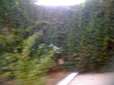 Ferienhaus in Bizerte (Banzart) oder Ferienwohnung oder Ferienhaus