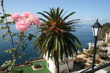 Liegepl�tze oberhalb des Beach Clubs