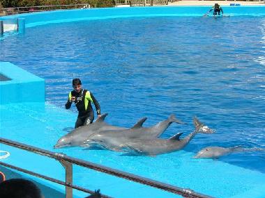 Ferienwohnung in Benaguasil  (Valencia / Valncia) oder Ferienwohnung oder Ferienhaus