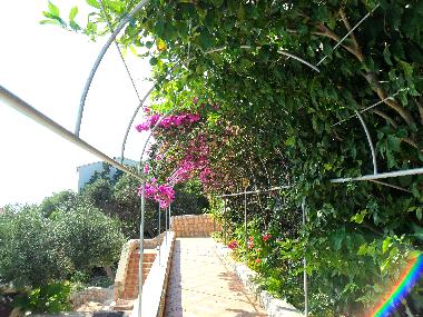 Pension in Lile Pag Novalja  (Licko-Senjska) oder Ferienwohnung oder Ferienhaus