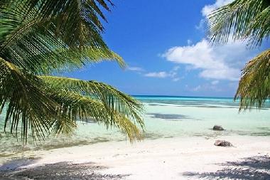 Ferienwohnung in dominicus (La Romana) oder Ferienwohnung oder Ferienhaus