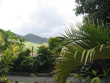 Ferienhaus in ANSE JONCHEE (Grand Port) oder Ferienwohnung oder Ferienhaus