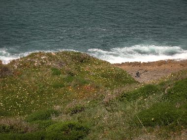 Ferienhaus in SESIMBRA (Pen�nsula de Set�bal) oder Ferienwohnung oder Ferienhaus
