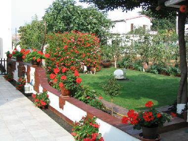 Ferienwohnung in Fazana (Istarska) oder Ferienwohnung oder Ferienhaus