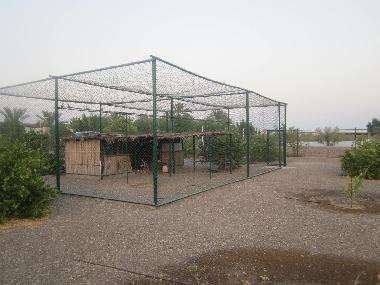 Villa in Muscat (Masqat) oder Ferienwohnung oder Ferienhaus