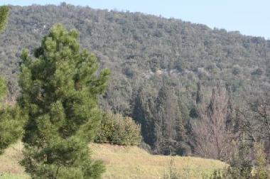 Ferienhaus in Monsummano Terme (Pistoia) oder Ferienwohnung oder Ferienhaus