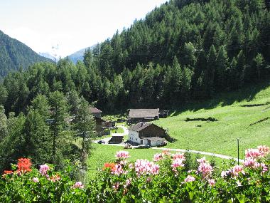 Ausblick vom Balkon