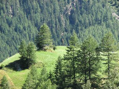 Ausblick vom Balkon
