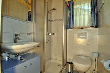 Ferienwohnung in Fiesch (Aletsch) oder Ferienwohnung oder Ferienhaus