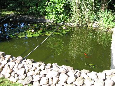 Gartenteich