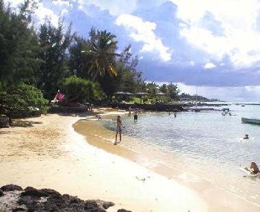 Beachlife Kuxville
