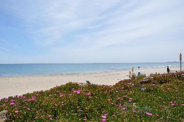 Ferienwohnung in La Manga del Mar Menor (Murcia) oder Ferienwohnung oder Ferienhaus