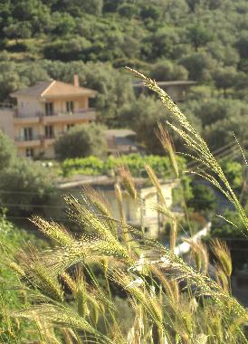 Ferienhaus in Igoumenitsa (Thesprotia) oder Ferienwohnung oder Ferienhaus