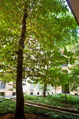 Ferienwohnung in Budapest (Budapest) oder Ferienwohnung oder Ferienhaus