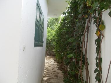 Allee zum Schwimmbad