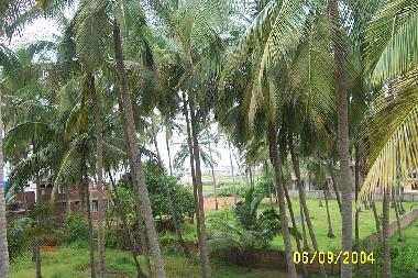 Ferienhaus in Morgim Beach,North Goa (Goa) oder Ferienwohnung oder Ferienhaus