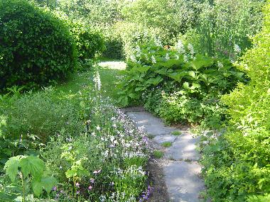 Ferienhaus in Niawier/Dokkum (Friesland) oder Ferienwohnung oder Ferienhaus