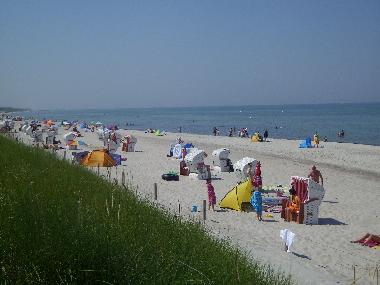 Strand in 100m Entfernung