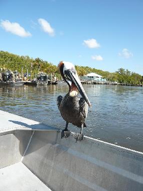 MachUrlaubInFlorida.com