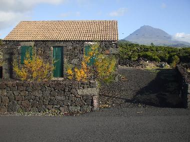 Ferienhaus in Madalena - Pico Island - Azores (Azoren) oder Ferienwohnung oder Ferienhaus