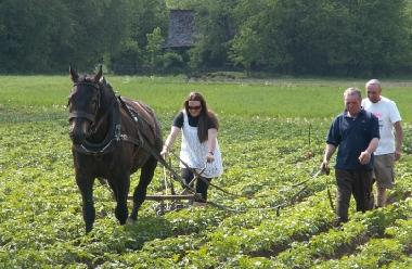 Villa in Stryszow near Krakow (Malopolskie) oder Ferienwohnung oder Ferienhaus