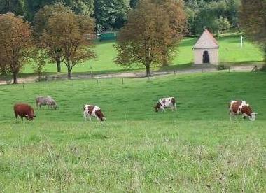 Villa in Stryszow near Krakow (Malopolskie) oder Ferienwohnung oder Ferienhaus