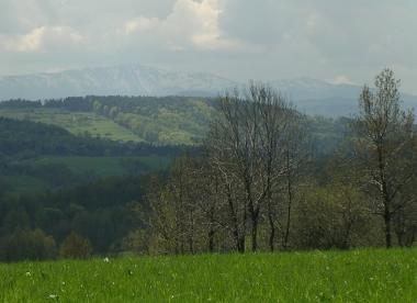 Villa in Stryszow near Krakow (Malopolskie) oder Ferienwohnung oder Ferienhaus