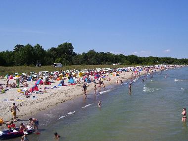 Ferienwohnung in Ostseebad Boltenhagen (Mecklenburgische Ostseek�ste) oder Ferienwohnung oder Ferienhaus