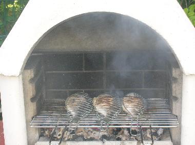 Der Grill ( Fische nicht inklusiv )
