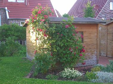 Ferienwohnung in Greetsiel (Nordsee-Festland / Ostfriesland) oder Ferienwohnung oder Ferienhaus