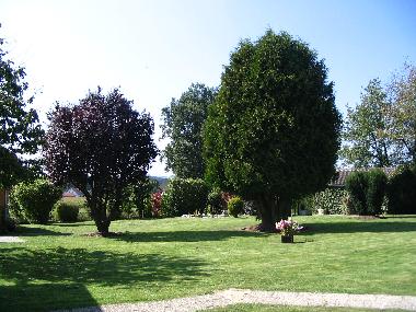 Parkhlicher Gartenbereich
