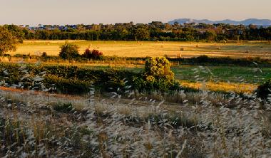 Der Landsitz