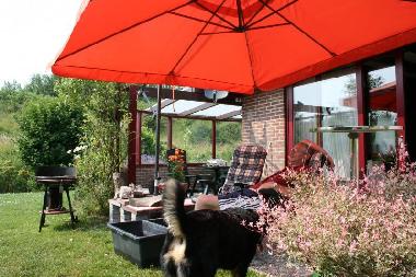 Urlaub mit Hund im Ferienhaus am Veerse Meer