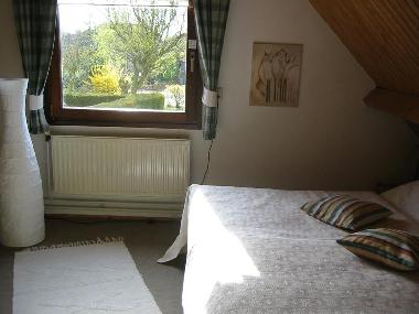 Urlaub mit Hund im Ferienhaus am Veerse Meer