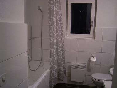 Ferienhaus in Fieschertal (Aletsch) oder Ferienwohnung oder Ferienhaus