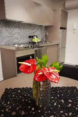 Ferienwohnung in Auckland central (Auckland) oder Ferienwohnung oder Ferienhaus