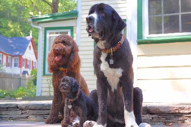 Ferienhaus in Woodstock (New York) oder Ferienwohnung oder Ferienhaus