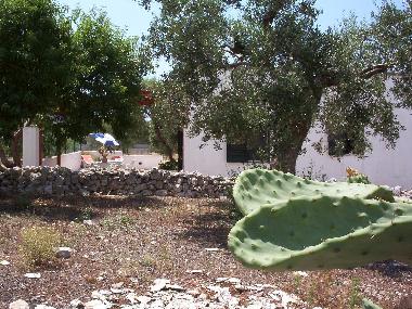 Ferienhaus in Leuca (Lecce) oder Ferienwohnung oder Ferienhaus