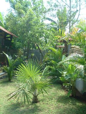 Ferienhaus in l�gian/kuta (Bali) oder Ferienwohnung oder Ferienhaus