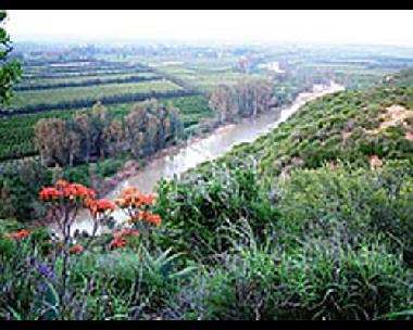Pension in Addo (Eastern Cape) oder Ferienwohnung oder Ferienhaus